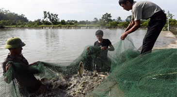 “The future of Asia fisheries and aquaculture lies in  blue growth” Asia Pacific Fishery Commission